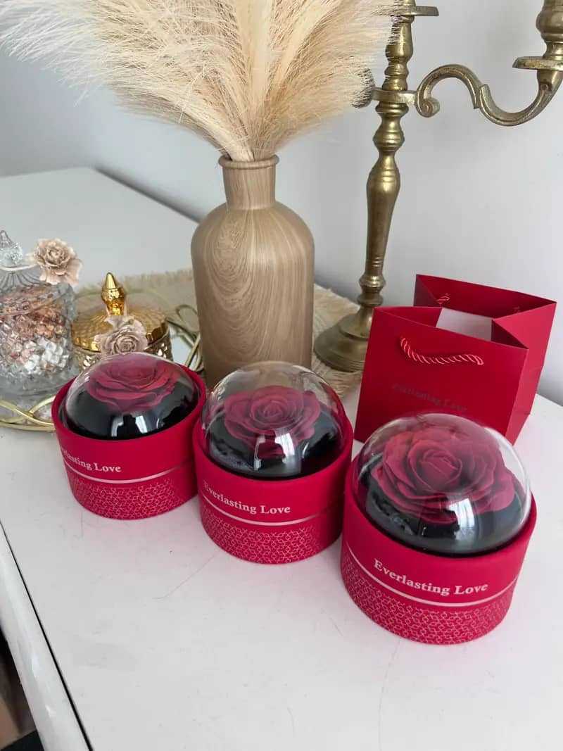 مجموعة الحب الابدي